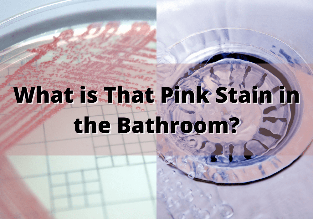 Why is There a Pink Stain On My Bathroom Sink? Plumbing Company