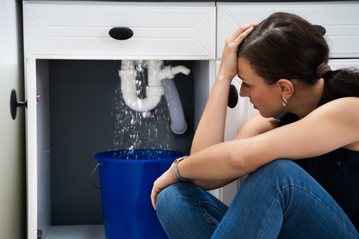 Franklin, Tennessee, homeowner looking at her bathroom drain pipe leaking