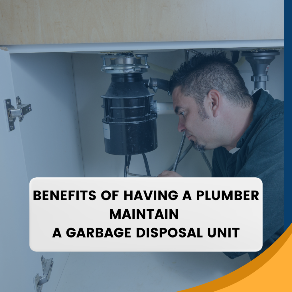 Benefits of Having a Professional Plumber and Maintaining a Garbage Disposal System