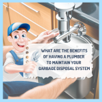 What Are the Benefits of Having a Professional Plumber and Maintaining a Garbage Disposal System in Franklin