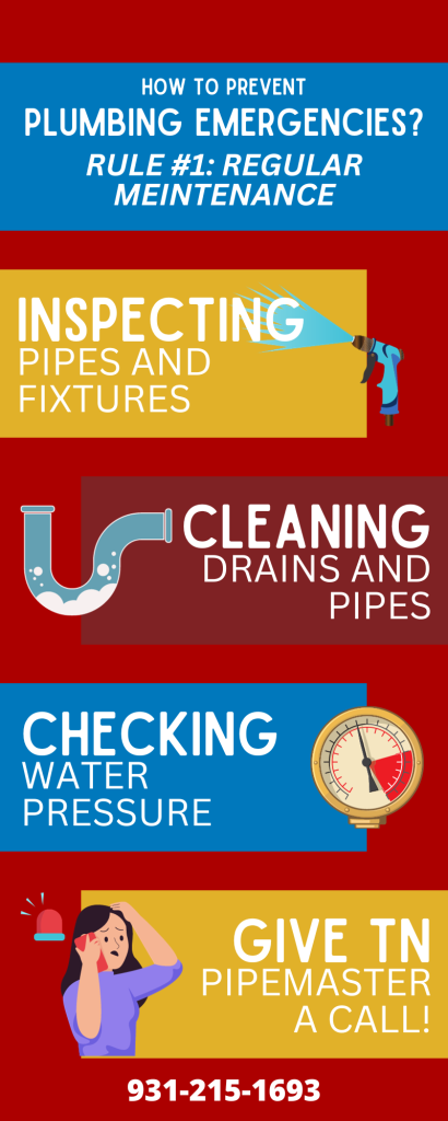 Infographics about different Plumbing Emergencies